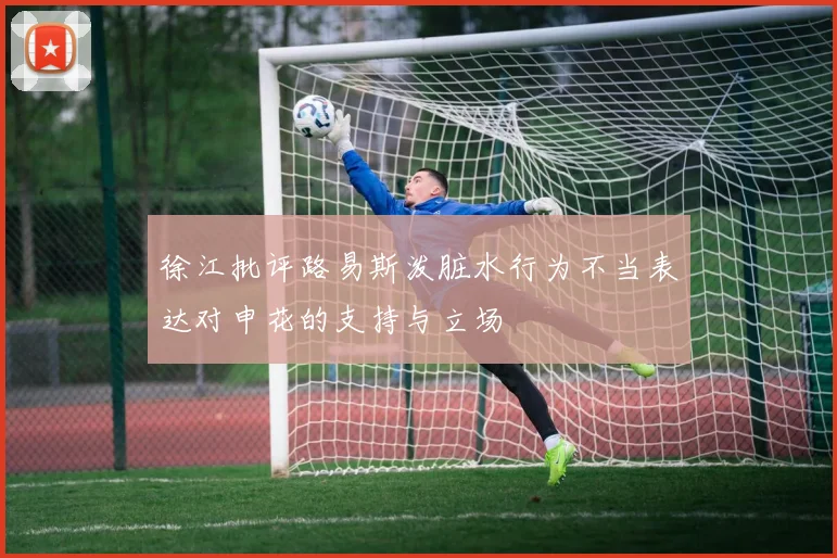徐江批评路易斯泼脏水行为不当表达对申花的支持与立场