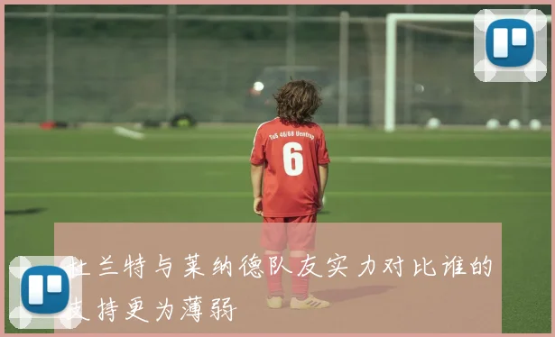 杜兰特与莱纳德队友实力对比谁的支持更为薄弱