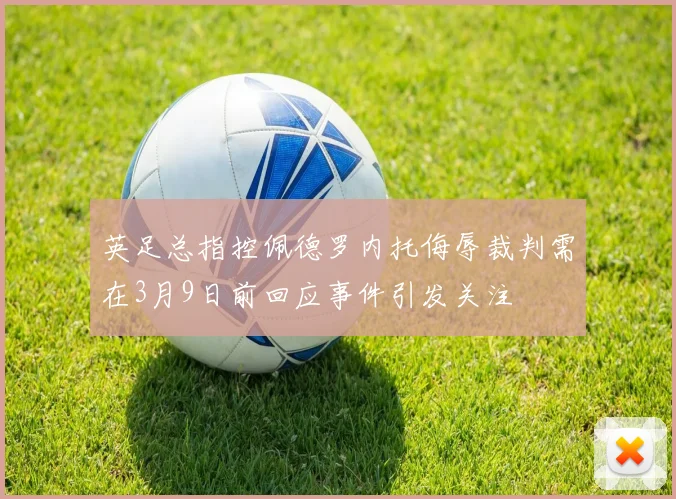 英足总指控佩德罗内托侮辱裁判需在3月9日前回应事件引发关注
