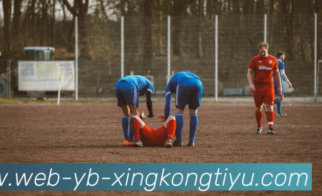 星空体育服务体系